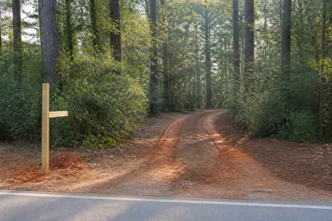 Fresh red clay driveway curving through cleared pine woods with mulched shoulders and morning light through the trunks