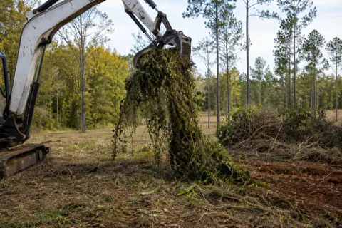 Excavator grapple lifting an entire kudzu mat from a swallowed Georgia fence corner, ripped-out privet windrowed nearby
