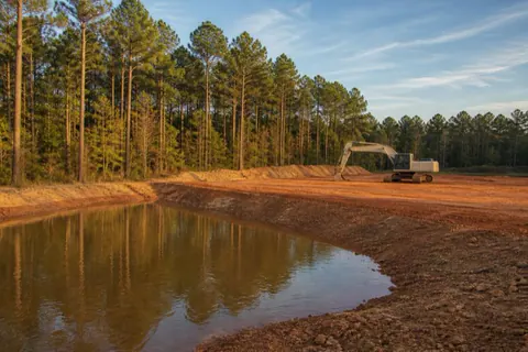 Just-dug detention pond holding early tea-colored runoff beside a graded red-clay pad, with the loblolly buffer left standing